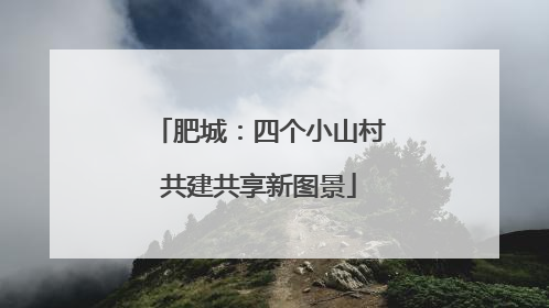 肥城：四个小山村共建共享新图景