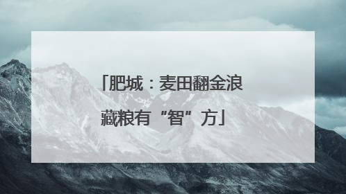 肥城：麦田翻金浪藏粮有“智”方
