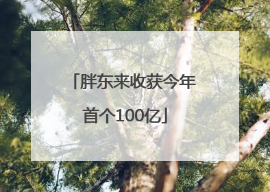 胖东来收获今年首个100亿