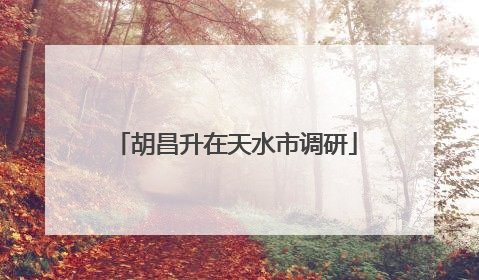 胡昌升在天水市调研
