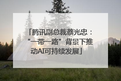 腾讯副总裁蔡光忠：“一带一路”背景下推动AI可持续发展