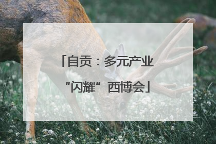 自贡：多元产业“闪耀”西博会
