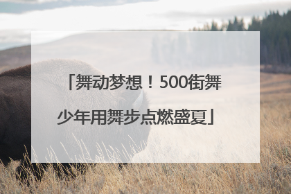 舞动梦想！500街舞少年用舞步点燃盛夏