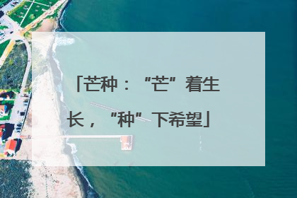 芒种：“芒”着生长，“种”下希望