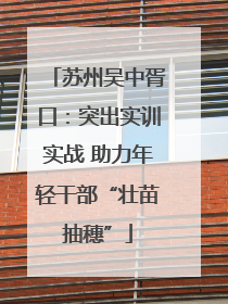 苏州吴中胥口：突出实训实战 助力年轻干部“壮苗抽穗”