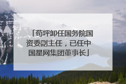 苟坪卸任国务院国资委副主任，已任中国星网集团董事长