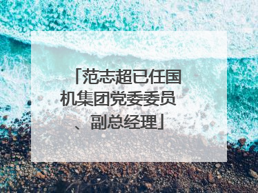 范志超已任国机集团党委委员、副总经理
