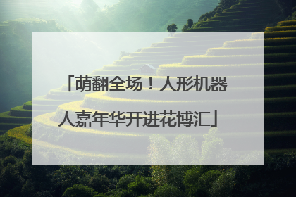 萌翻全场！人形机器人嘉年华开进花博汇