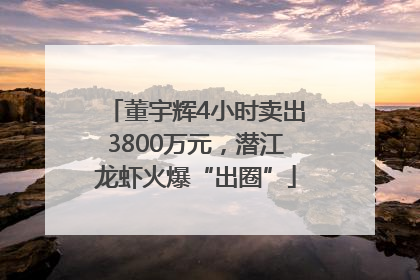 董宇辉4小时卖出3800万元，潜江龙虾火爆“出圈”