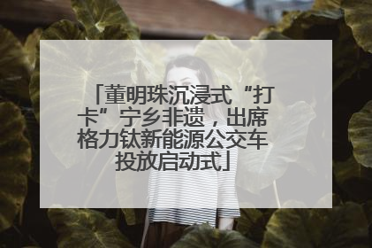 董明珠沉浸式“打卡”宁乡非遗，出席格力钛新能源公交车投放启动式