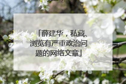 薛建华，私藏、浏览有严重政治问题的网络文章