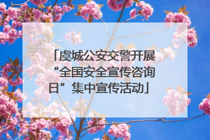 虞城公安交警开展“全国安全宣传咨询日”集中宣传活动