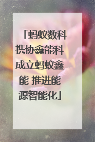 蚂蚁数科携协鑫能科成立蚂蚁鑫能 推进能源智能化