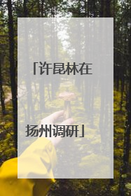 许昆林在扬州调研
