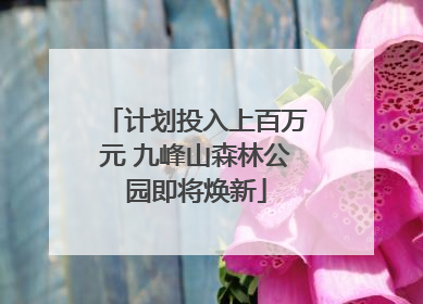计划投入上百万元 九峰山森林公园即将焕新