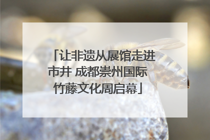 让非遗从展馆走进市井 成都崇州国际竹藤文化周启幕