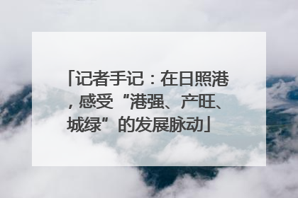 记者手记：在日照港，感受“港强、产旺、城绿”的发展脉动