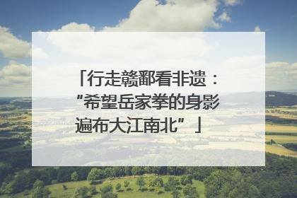 行走赣鄱看非遗：“希望岳家拳的身影遍布大江南北”