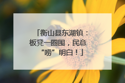 衡山县东湖镇：板凳一圈围，民意“唠”明白！