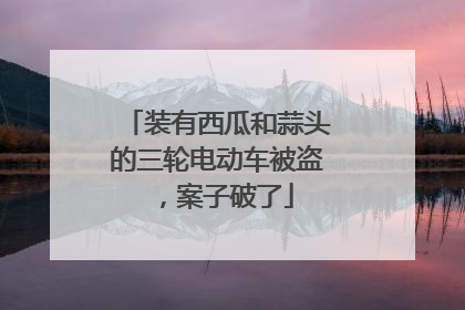 装有西瓜和蒜头的三轮电动车被盗，案子破了