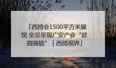 西博会1500平方米展馆 全景呈现广安产业“建圈强链”｜西博视界