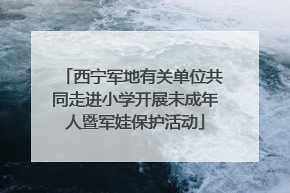 西宁军地有关单位共同走进小学开展未成年人暨军娃保护活动