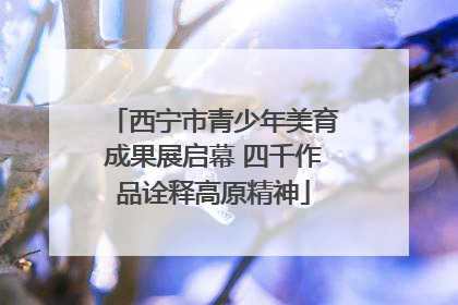 西宁市青少年美育成果展启幕 四千作品诠释高原精神
