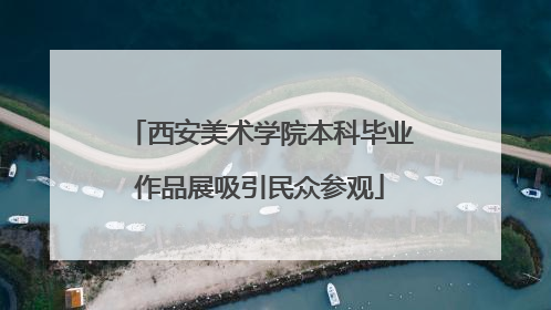西安美术学院本科毕业作品展吸引民众参观