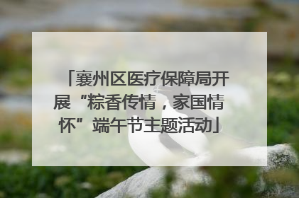 襄州区医疗保障局开展“粽香传情，家国情怀”端午节主题活动