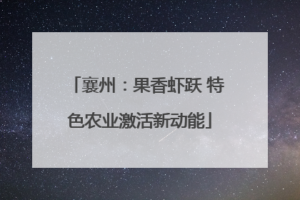 襄州：果香虾跃 特色农业激活新动能