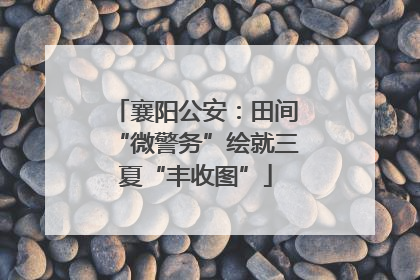 襄阳公安：田间“微警务”绘就三夏“丰收图”