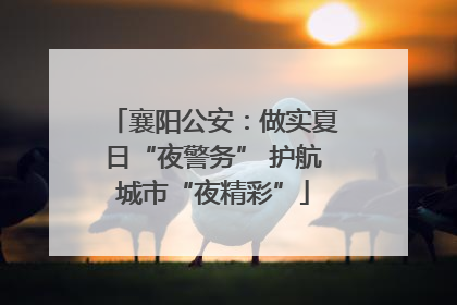 襄阳公安：做实夏日“夜警务” 护航城市“夜精彩”