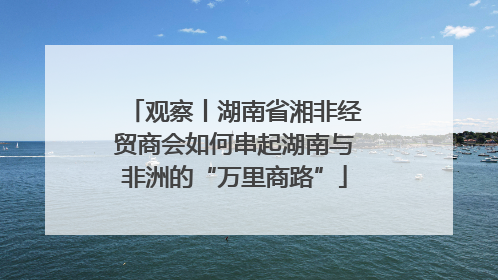 观察丨湖南省湘非经贸商会如何串起湖南与非洲的“万里商路”