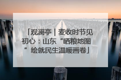 观澜亭｜麦收时节见初心：山东“晒粮地图”绘就民生温暖画卷