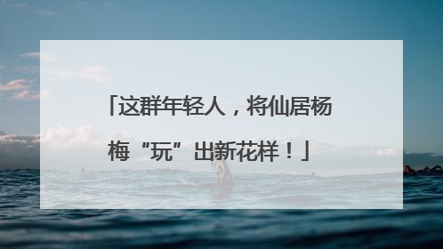 这群年轻人，将仙居杨梅“玩”出新花样！