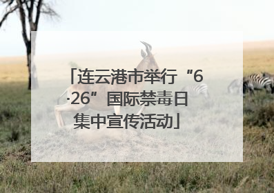 连云港市举行“6·26”国际禁毒日集中宣传活动