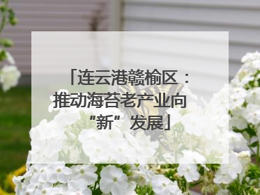 连云港赣榆区：推动海苔老产业向“新”发展
