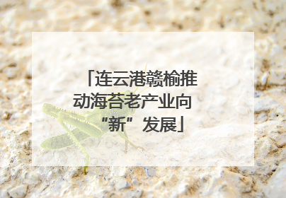 连云港赣榆推动海苔老产业向“新”发展