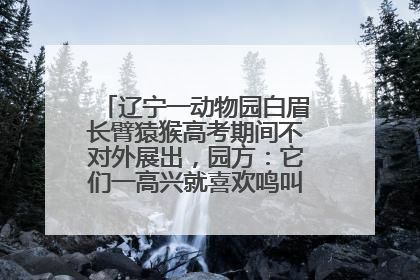 辽宁一动物园白眉长臂猿猴高考期间不对外展出，园方：它们一高兴就喜欢鸣叫，怕影响考试