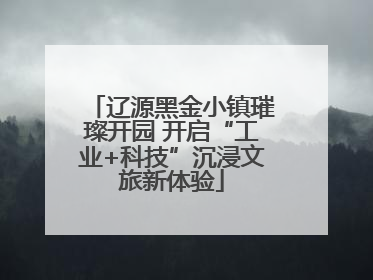 辽源黑金小镇璀璨开园 开启“工业+科技”沉浸文旅新体验