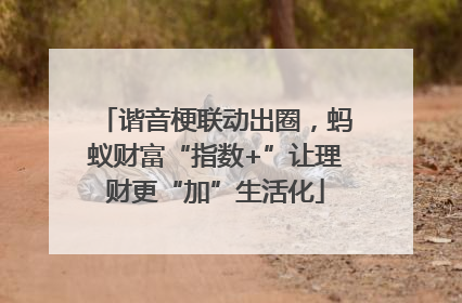 谐音梗联动出圈，蚂蚁财富“指数+”让理财更“加”生活化