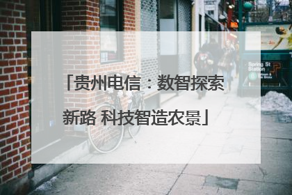 贵州电信：数智探索新路 科技智造农景