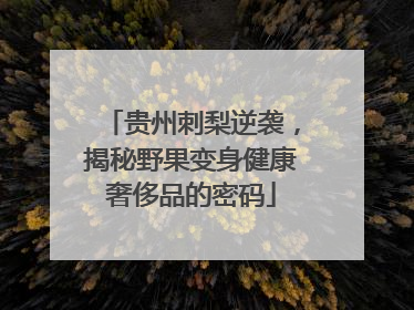 贵州刺梨逆袭，揭秘野果变身健康奢侈品的密码