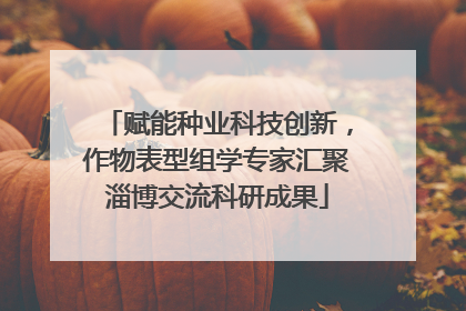 赋能种业科技创新，作物表型组学专家汇聚淄博交流科研成果