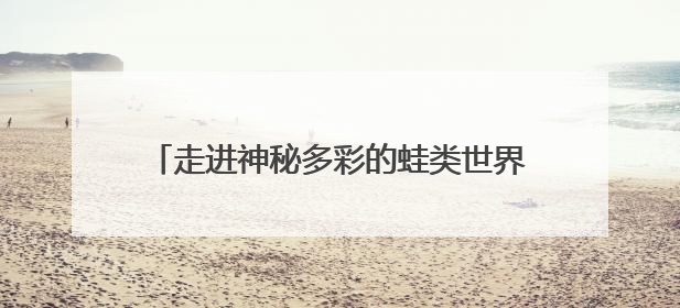 走进神秘多彩的蛙类世界，世纪公园“蛙蛙奇妙夜”开启招募，暑假共18场