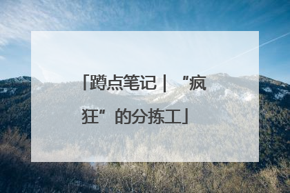 蹲点笔记｜“疯狂”的分拣工