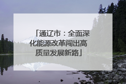 通辽市：全面深化能源改革闯出高质量发展新路