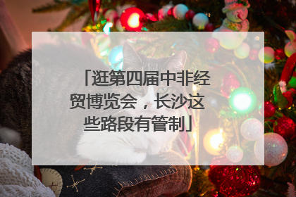 逛第四届中非经贸博览会，长沙这些路段有管制