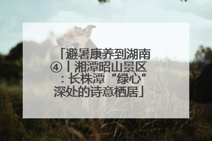 避暑康养到湖南④丨湘潭昭山景区：长株潭“绿心”深处的诗意栖居