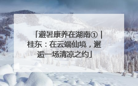 避暑康养在湖南①｜桂东：在云端仙境，邂逅一场清凉之约